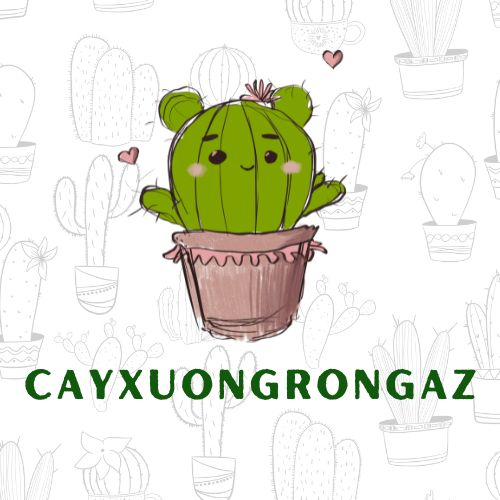 cayxuongrongaz.com